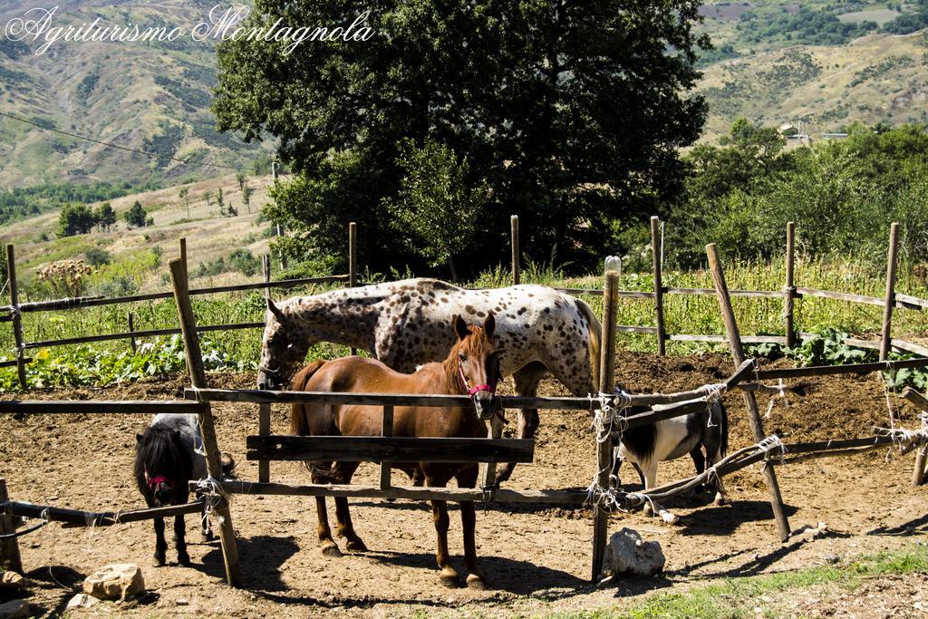 Agriturismo Montagnola Abruzzo Villa Casalanguida Eksteriør bilde