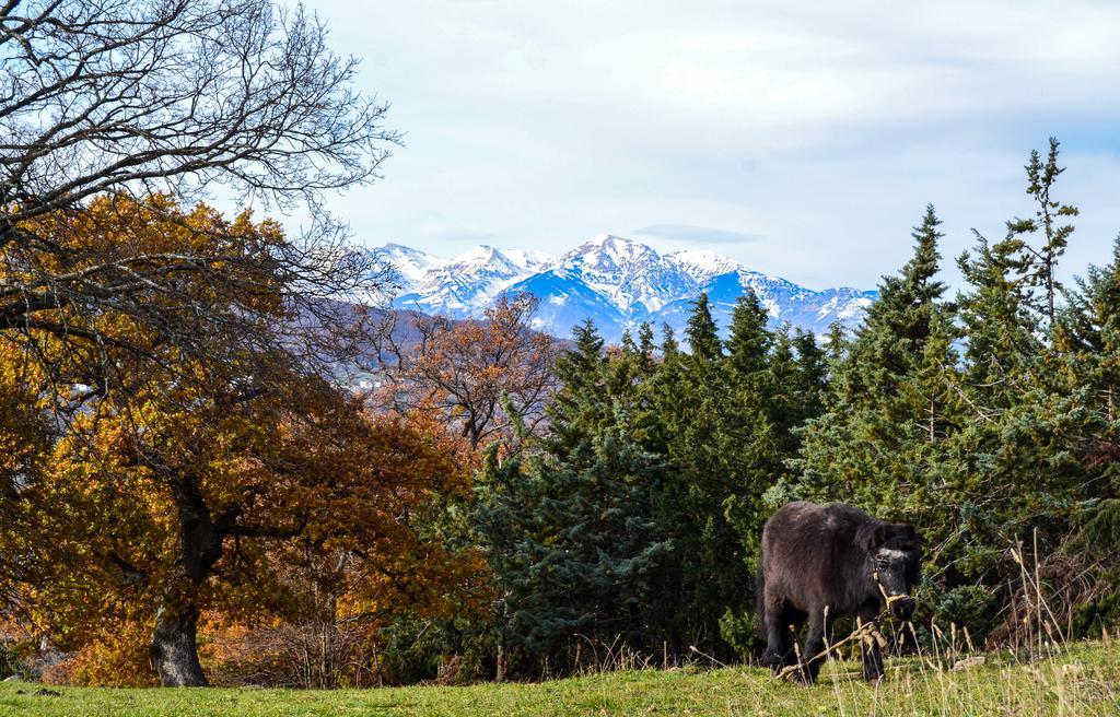 Agriturismo Montagnola Abruzzo Villa Casalanguida Eksteriør bilde